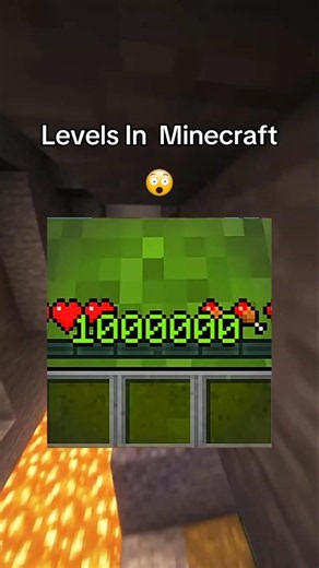 He Tried To Get 1 Million Levels In Minecraft 😂😂