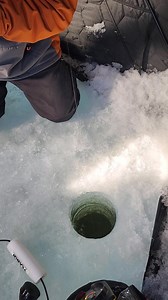 Surprise catch while fishing for Crappies!! | Rainydaze Guide Service