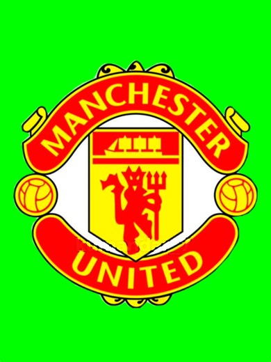 Manchester United Squad UEFA Champions League Final 2011