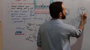 7.7K views · 809 reactions | #Peptic_Ulcer Part-3 Any one need All lectures... Contact.. A Whtsup: 03231959691 | Up Teaching Academy | Facebook