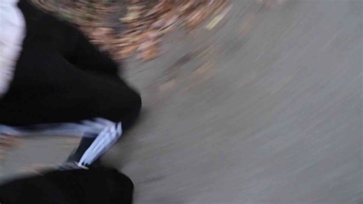 Wir haben Kelvin im Wald gefunden! | Kelvin und Marvin