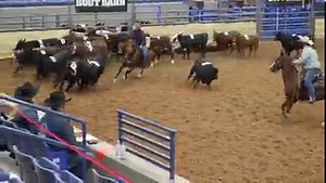 1.8K views · 32 reactions | Just a sample of the Action at the 2022 USTPA World Finals. | United States Team Penning Association USTPA | Facebook