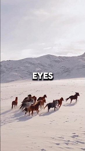 Eyes Without A Face Lyrics - Billy Idol #80smusic