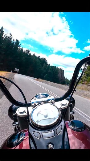POV: Riding my Harley Davidson Heritage like a main character in Tasmania … until a giant bug decided to RKO me out of nowhere 😂🪲💥 I swear this thing had wings AND an attitude. Nature: 1 Me: 0 Bike: still sexy. Did I flinch? Absolutely. Did I keep riding? Obviously. Because nothing stops the ride. 🤘🏍️🔥 Tell me your worst road-trip bug collision story! #harleydavidson #motorcycle #bikerchick #riding down under | Bunny King Hogs