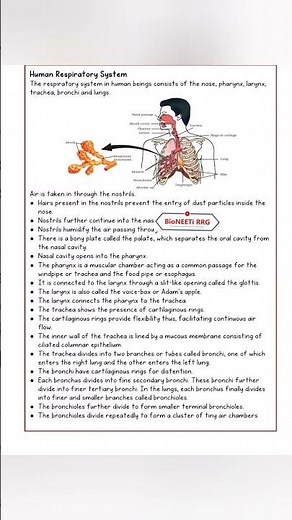 Class 10 Life Processes NCERT Biology Notes ‪@bioneetirrg‬