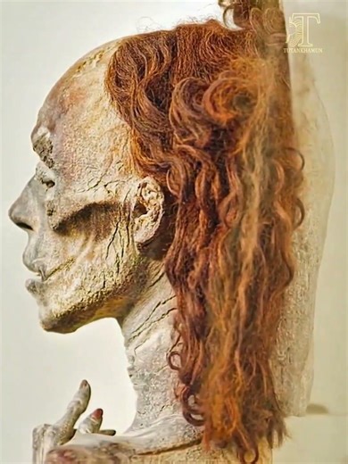 queen Tiye mummy #history #ancientegypt #mummy