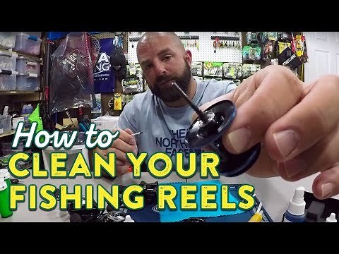How To Effectively Clean Your Fishing Reels