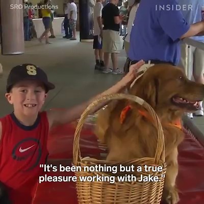 10M views · 30K reactions | This dog works as a batboy in baseball games  | Insider Presents | Facebook