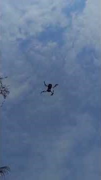 cara drone rth dengan aman