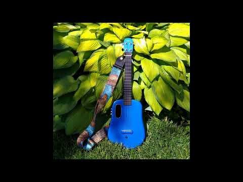 What Makes You Beautiful by One Direction (Ukulele Cover/Playalong)