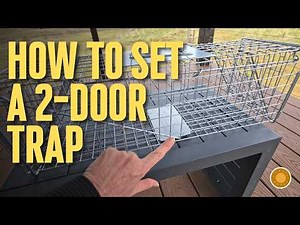How to Set a Tomahawk Double Door Live Trap | Easy Tutorial