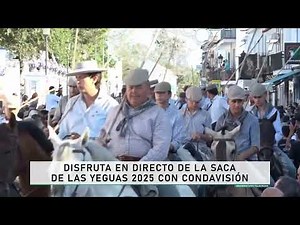 Disfruta en directo de la saca de las yeguas 2025 con Condavisión
