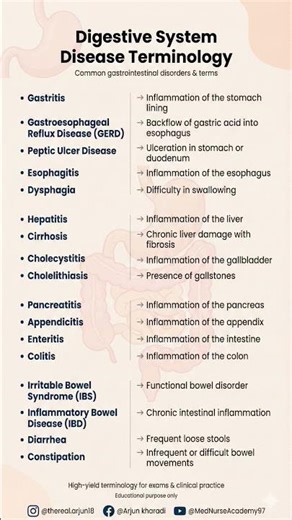 Digestive System Diseases Explained | GI Terminology in 30 Seconds #medicalstudents