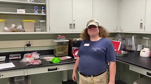 26 reactions | Otter diet with Zoo Keeper Catina Wright! 簾戀 Come out for to learn about species in our local ecosystems and support otter conservation by visiting the Zoo! Learn more and donate at the links in bio. 李 https://senecaparkzoo.org/event/genesee-weekend/ : Jess Hays | Seneca Park Zoo | Facebook