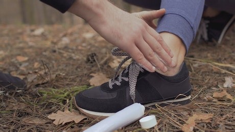 Free Message Videos: 4K & HD | No Watermark | Download Now