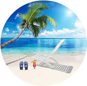 Screen Door Magnets Double Sided – Keep People, Kids, and Dogs from Running into The Screen Door - Robbins Aria Beach