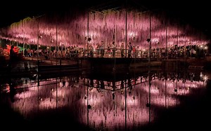 Japan's Wisteria Tunnels Are Even More Magical Than Its Cherry Blossoms