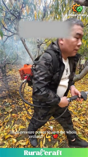 Injecting Liquid Cure Directly Into Tree Trunks to Fight Off Destructive Borers! #farming #trees