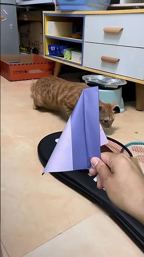 This Paper Bomb Actually Explodes