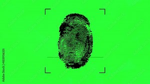 Biometric verification animation process 4k on green screen for keying. Thumb verifying animation design minimalist