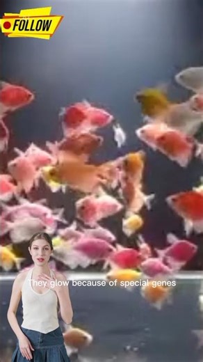 “Glowing Fish Are Real! The Science Behind GloFish 🧬🐠