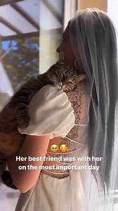 How precious 🥹 Would you involve your cat in your wedding day? | Rock n Roll Bride
