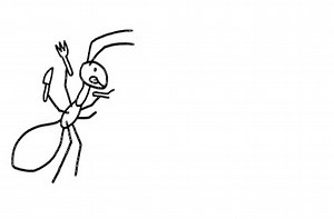 The science of yellow crazy ants and how we can control them.