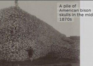 4.6K views · 86 reactions | COLON-EYES SQUATTERS ON THE LAND (A...