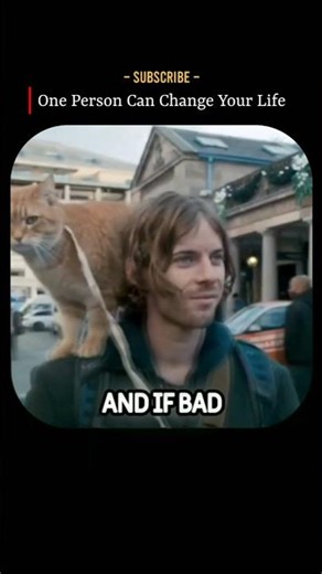 A Cat Saved His Life From Drugs 😢 | The Story Of James Bowen & Bob