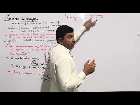 GENE LINKAGE AND TYPES OF GENE LINKAGE Lec # 17 Inheritance 2nd year