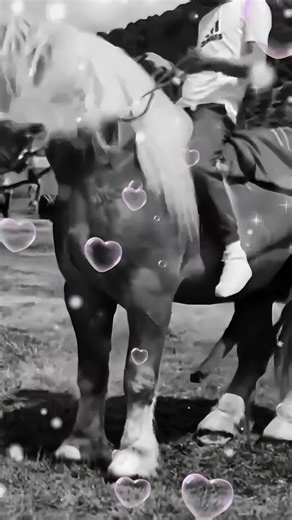Horse breeding! #foryou #viral #trending #short #horsebreding #horsemeeting #usa #usarending #breding