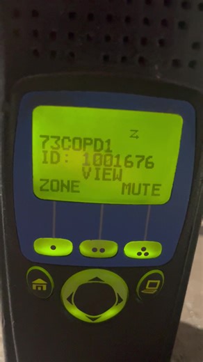 6.5K views · 47 reactions | A sheep  is on the loose in the area of Holland and Mueller.. Subjects are out looking for it. | Saginaw Scanner | Facebook