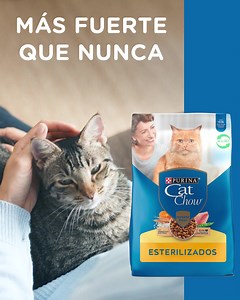 19K views · 580 reactions | Refuerza el sistema inmunológico de tu gato con el nuevo Purina Cat Chow, que le dará la fuerza y protección que necesita. | Purina Cat Chow | Facebook