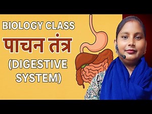 Biology Class | पाचन तंत्र (Digestive System) | Human Digestive System in Hindi | Reena Mam