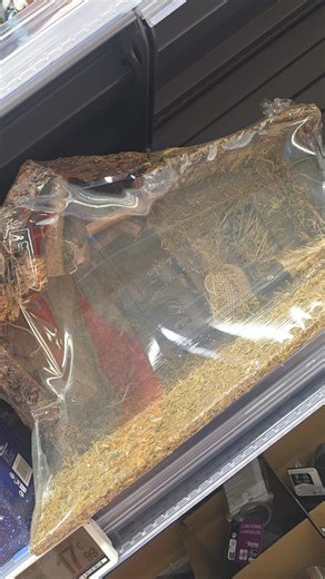 Vidéos de Reunionnaise 974 (@iledelareunion1) avec son original - Reunionnaise 974