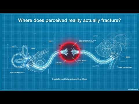 Vestibular Integration: How Your Balance Controls Reality | Nervous System Biohacking