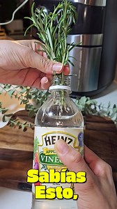 Mezcla Romero con Vinagre Blanco | Consejos Con Sugeiry