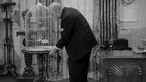 Perry Mason 2x11 "The Case of the Perjured Parrot"