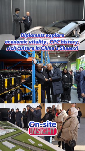From November 16 to 19, diplomats from more than 20 countries and two international organizations visited China's Shaanxi province, exploring its economic vitality and rich culture | China Xinhua News