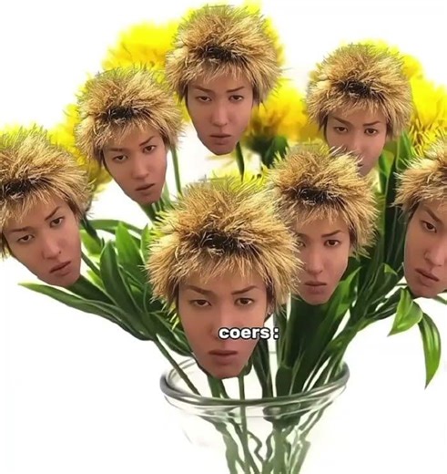 THIS FANDOM😭 #cortis #kpop #viral