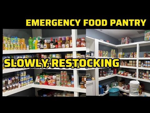 Walmart Haul | ReBuilding My Emergency & Pandemic Food Pantry SLOWLY Before The Next Crisis