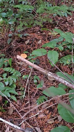 6.3K views · 116 reactions | Basin Tackle Online on Reels | Facebook