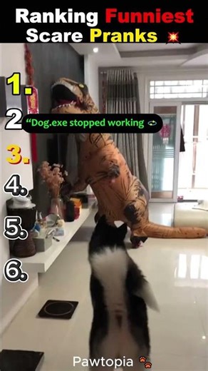 Ranking Funniest Dog Scare Pranks Ever 😱🐶💥 #youtubeshorts #shorts #viral
