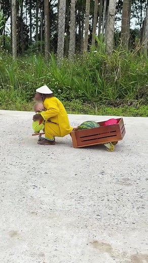 387K views · 6.5K reactions | CUTIS & Baby Monkey's exclusive market sells in a smart new way, making everyone compete 樂.....#monkeyLala #Monkeykaka #Cubismonkey #expore #trending #monkeyBibi #monkeyCUTIS | CUTIS Watch | Facebook