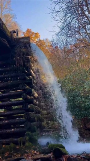 Ever pull over “for five minutes” and it fixes your whole mood? 📍Cherokee, NC (Smokies) Plan Your Day Monday: Mingus Mill is the easiest little stop for rushing water, photos, and a calm break between bigger plans. How it fits into a day plan: • Morning: scenic drive or short walk • Midday: Mingus Mill reset stop • Afternoon: keep exploring without feeling rushed Best time: earlier in the day for lighter crowds. Send this to someone who needs a quiet stop. #SmokyMountains #CherokeeNC #GSMNP #Mi