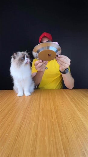 2.1M views · 17K reactions | #kitten #catlitter | 8PAWS international LLC | Facebook