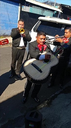 Mariachi Performance: Traditional Music on the Streets