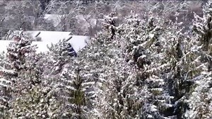 Board approves proposal to limit ICE in MKE County Parks