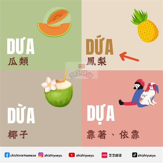 #越南語有聲詞卡🇻🇳 越南語「發音地雷」！😱#芝芝越南語 #越南語口語班 #混合式學習 #本土語 #study #learn #education
