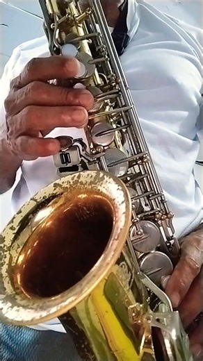 Saxofon Alto: Fur Elise (Ludwig van Beethoven)